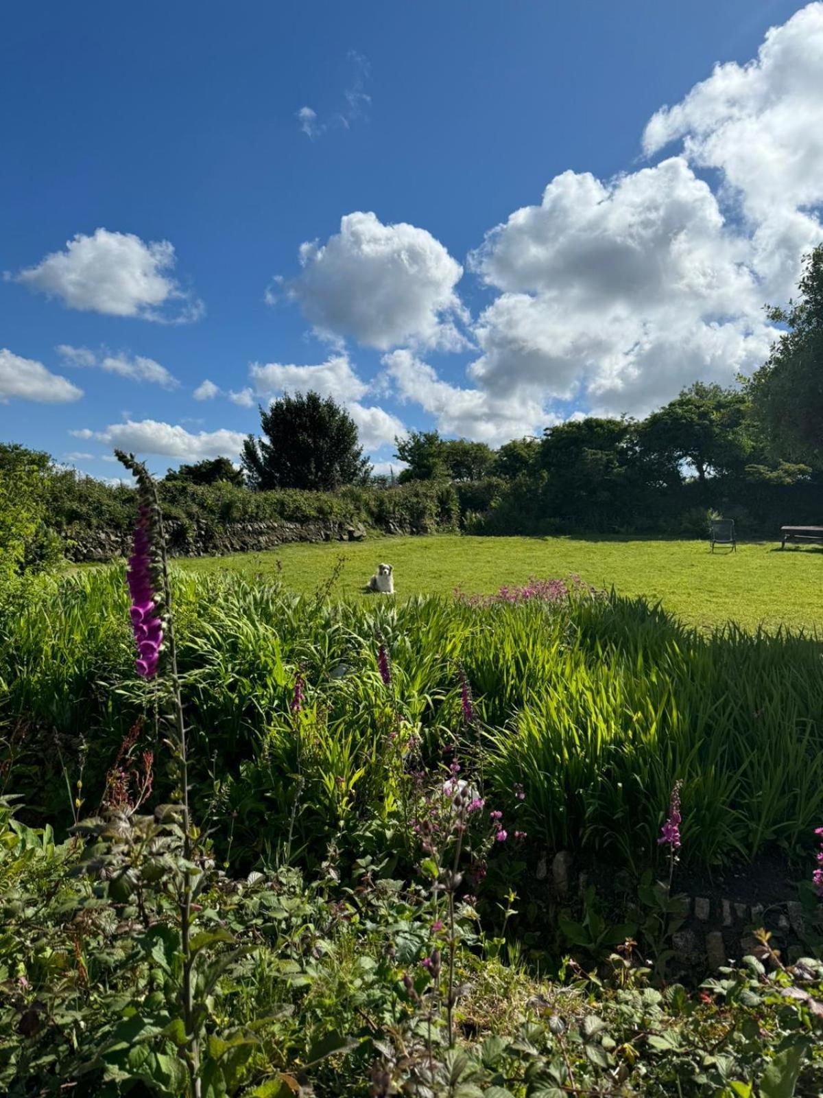 Kitts Cottage, Redruth, Cosy Cornish Retreat Exteriér fotografie