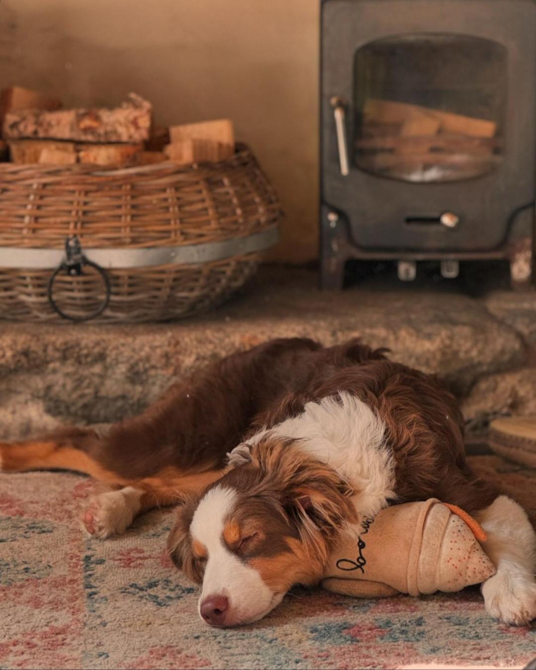 Kitts Cottage, Redruth, Cosy Cornish Retreat Exteriér fotografie